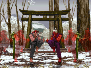 Ninja Temple - Winter